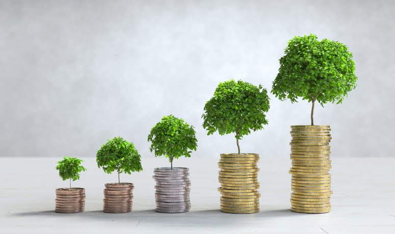 Angel Investing